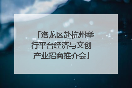 洛龙区赴杭州举行平台经济与文创产业招商推介会
