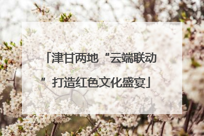 津甘两地“云端联动”打造红色文化盛宴