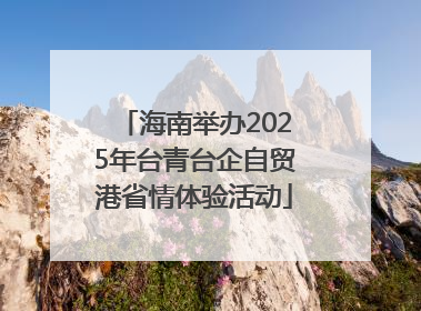 海南举办2025年台青台企自贸港省情体验活动
