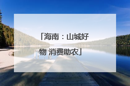 海南：山城好物 消费助农