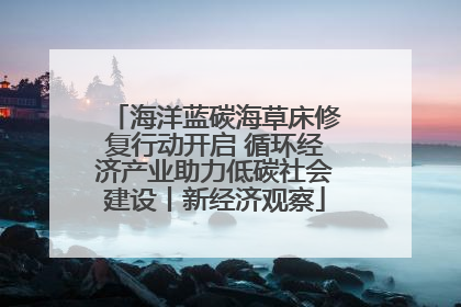 海洋蓝碳海草床修复行动开启 循环经济产业助力低碳社会建设丨新经济观察