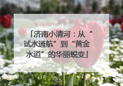 济南小清河：从“试水通航”到“黄金水道”的华丽蜕变