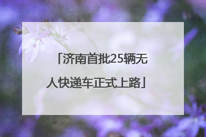 济南首批25辆无人快递车正式上路