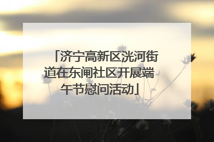 济宁高新区洸河街道在东闸社区开展端午节慰问活动