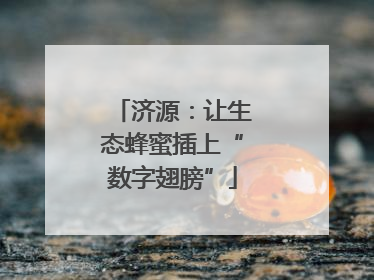 济源：让生态蜂蜜插上“数字翅膀”