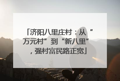 济阳八里庄村：从“万元村”到“新八里”，强村富民路正宽