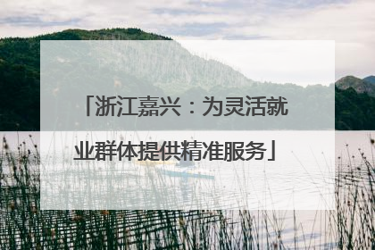 浙江嘉兴：为灵活就业群体提供精准服务