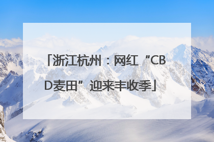 浙江杭州：网红“CBD麦田”迎来丰收季