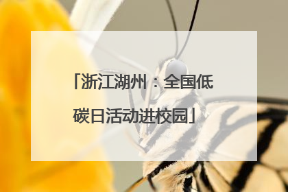 浙江湖州：全国低碳日活动进校园