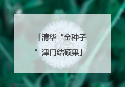 清华“金种子”津门结硕果