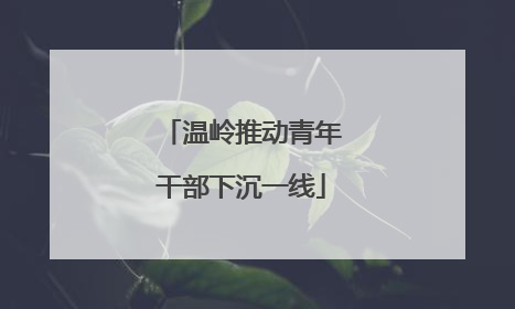温岭推动青年干部下沉一线