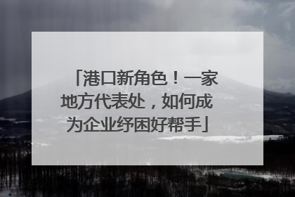 港口新角色！一家地方代表处，如何成为企业纾困好帮手