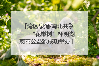 湾区泉涌·南北共擎——“花楸树”杯明湖慈善公益跑成功举办