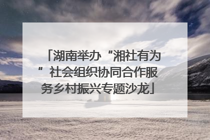 湖南举办“湘社有为”社会组织协同合作服务乡村振兴专题沙龙