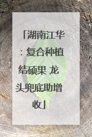 湖南江华：复合种植结硕果 龙头兜底助增收