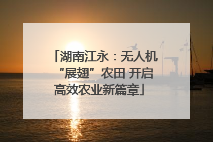 湖南江永：无人机“展翅”农田 开启高效农业新篇章
