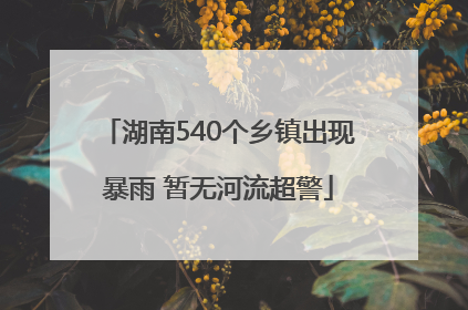湖南540个乡镇出现暴雨 暂无河流超警