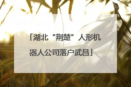 湖北“荆楚”人形机器人公司落户武昌
