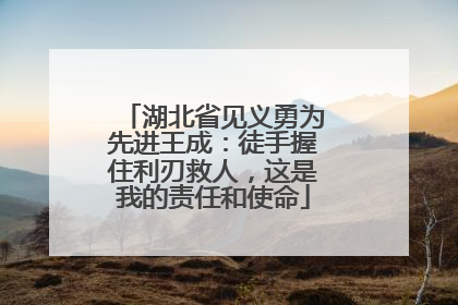 湖北省见义勇为先进王成：徒手握住利刃救人，这是我的责任和使命