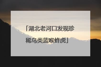 湖北老河口发现珍稀鸟类蓝喉蜂虎
