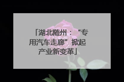湖北随州：“专用汽车走廊”掀起产业新变革