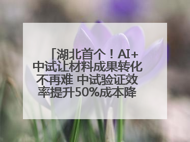 湖北首个！AI+中试让材料成果转化不再难 中试验证效率提升50%成本降低60%