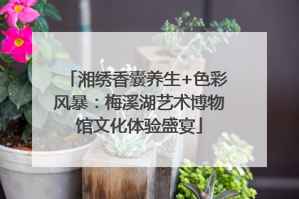 湘绣香囊养生+色彩风暴：梅溪湖艺术博物馆文化体验盛宴