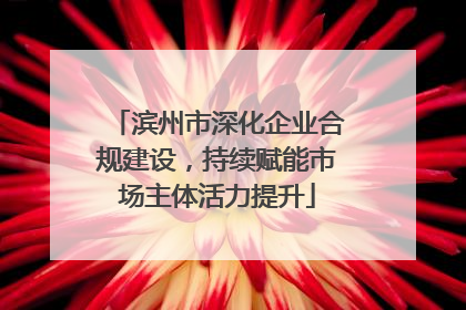 滨州市深化企业合规建设，持续赋能市场主体活力提升