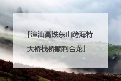 漳汕高铁东山跨海特大桥栈桥顺利合龙