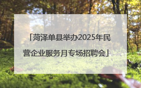 菏泽单县举办2025年民营企业服务月专场招聘会