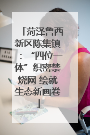 菏泽鲁西新区陈集镇：“四位一体”织密禁烧网 绘就生态新画卷