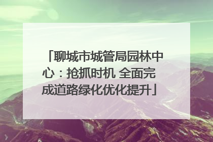 聊城市城管局园林中心：抢抓时机 全面完成道路绿化优化提升