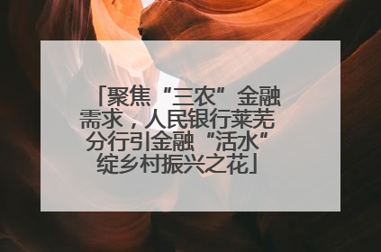聚焦“三农”金融需求，人民银行莱芜分行引金融“活水”绽乡村振兴之花