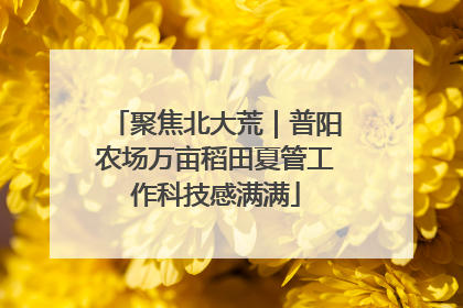 聚焦北大荒｜普阳农场万亩稻田夏管工作科技感满满