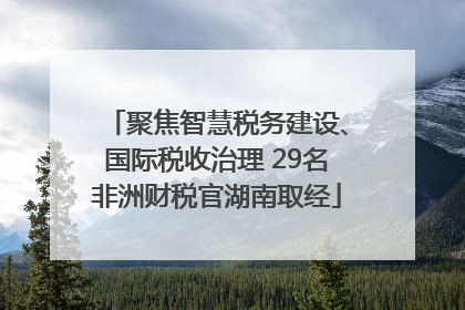 聚焦智慧税务建设、国际税收治理 29名非洲财税官湖南取经