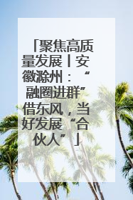聚焦高质量发展丨安徽滁州：“融圈进群”借东风，当好发展“合伙人”