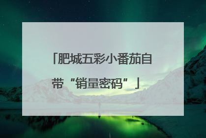 肥城五彩小番茄自带“销量密码”