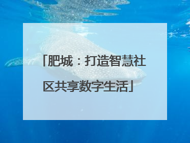 肥城：打造智慧社区共享数字生活