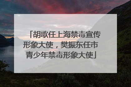 胡歌任上海禁毒宣传形象大使，樊振东任市青少年禁毒形象大使