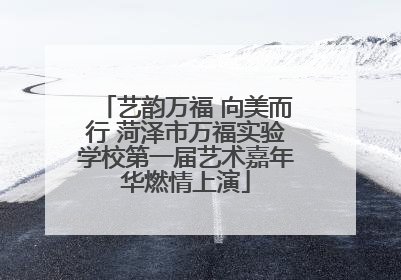 艺韵万福 向美而行 菏泽市万福实验学校第一届艺术嘉年华燃情上演