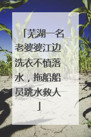 芜湖一名老婆婆江边洗衣不慎落水，拖船船员跳水救人