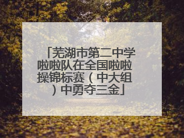 芜湖市第二中学啦啦队在全国啦啦操锦标赛（中大组）中勇夺三金