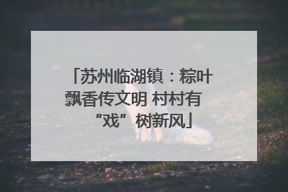 苏州临湖镇：粽叶飘香传文明 村村有“戏”树新风