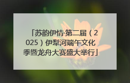 苏韵伊情·第二届（2025）伊犁河端午文化季暨龙舟大赛盛大举行