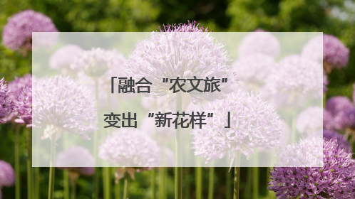 融合“农文旅” 变出“新花样”