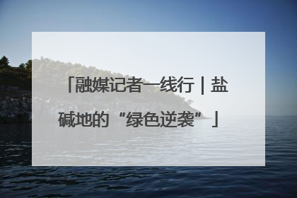 融媒记者一线行｜盐碱地的“绿色逆袭”