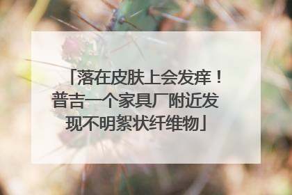 落在皮肤上会发痒！普吉一个家具厂附近发现不明絮状纤维物