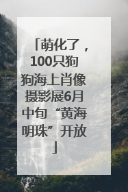萌化了，100只狗狗海上肖像摄影展6月中旬“黄海明珠”开放