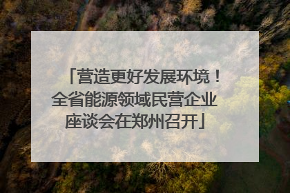 营造更好发展环境！全省能源领域民营企业座谈会在郑州召开