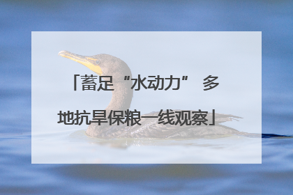 蓄足“水动力” 多地抗旱保粮一线观察